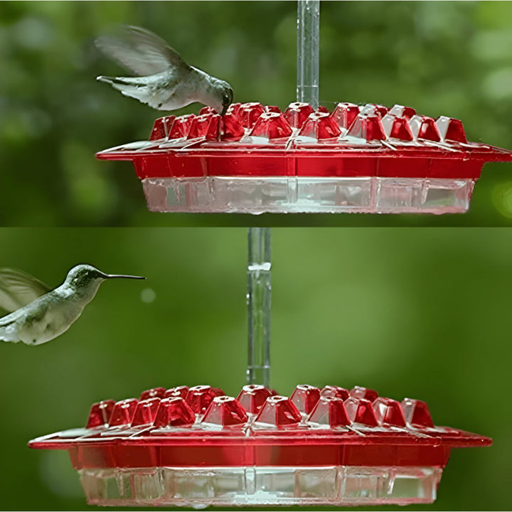 Hummingbird Feeder Nectar Hanging Garden Feeding Station