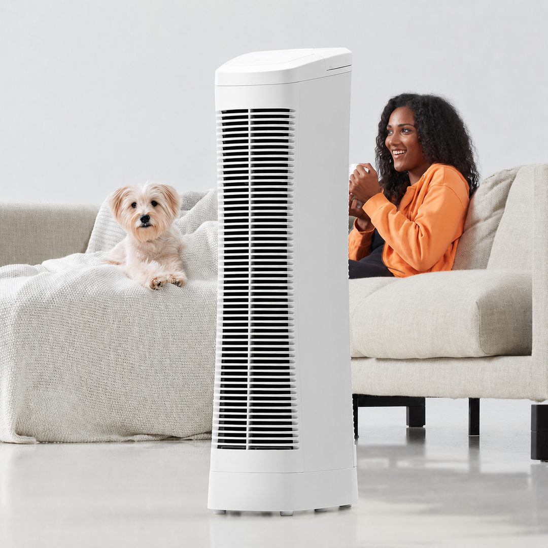 Air Purifier Ionic Air Cleaner Quiet Fan