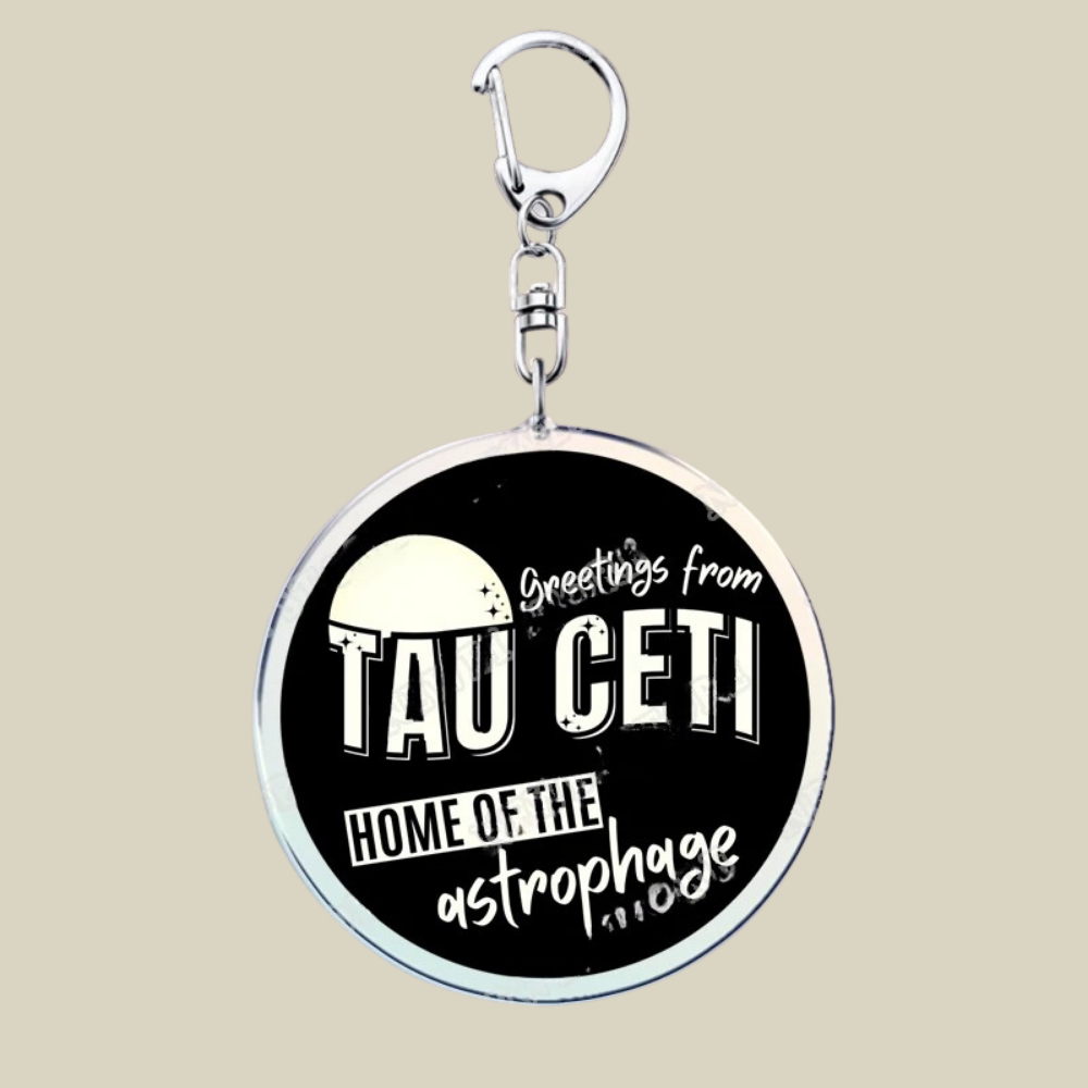 Bunnycat Keychain Funny Acrylic Charm Cute Cartoon Key Ring Gift