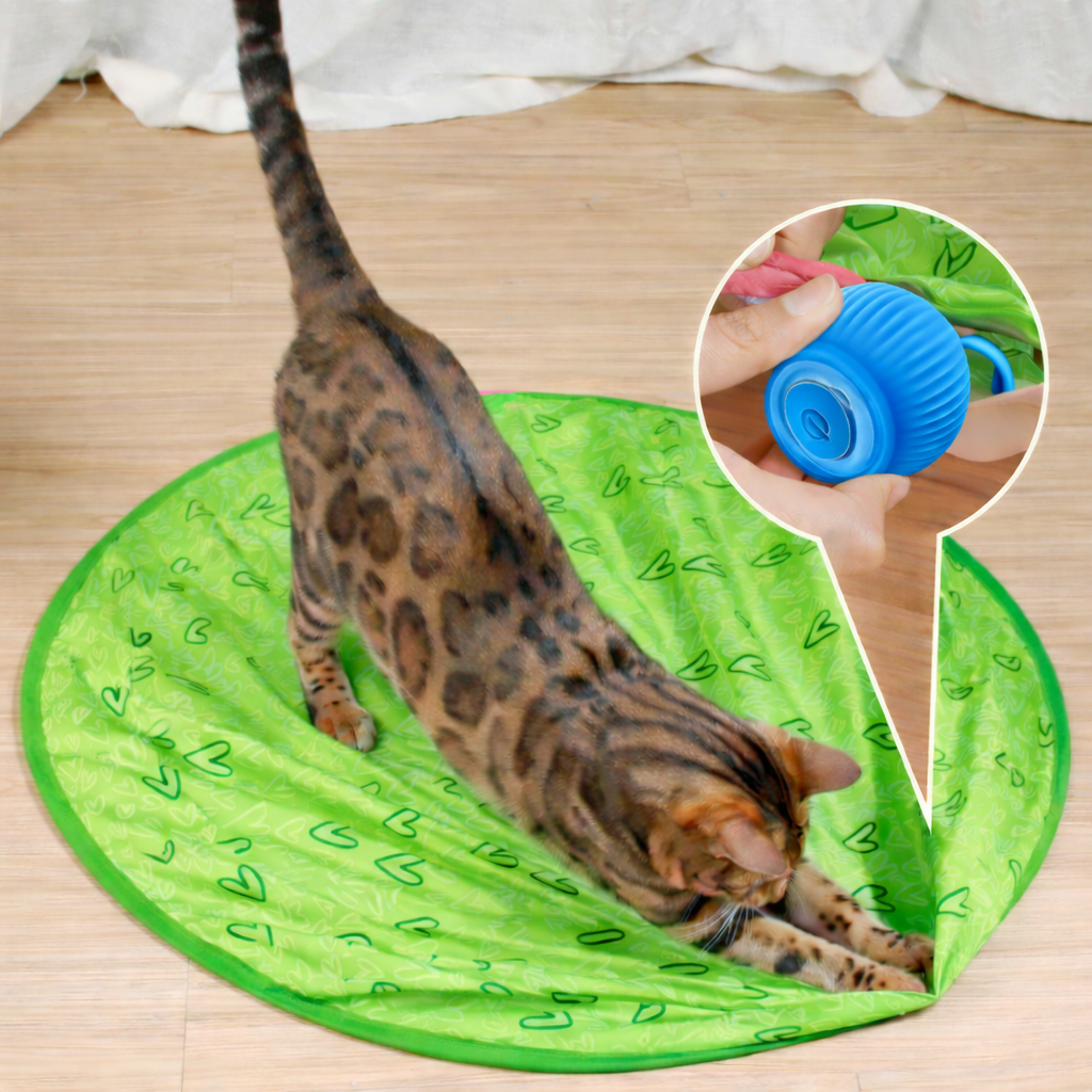 Cat Toy Interactive Rolling Smart Ball Indoor Play