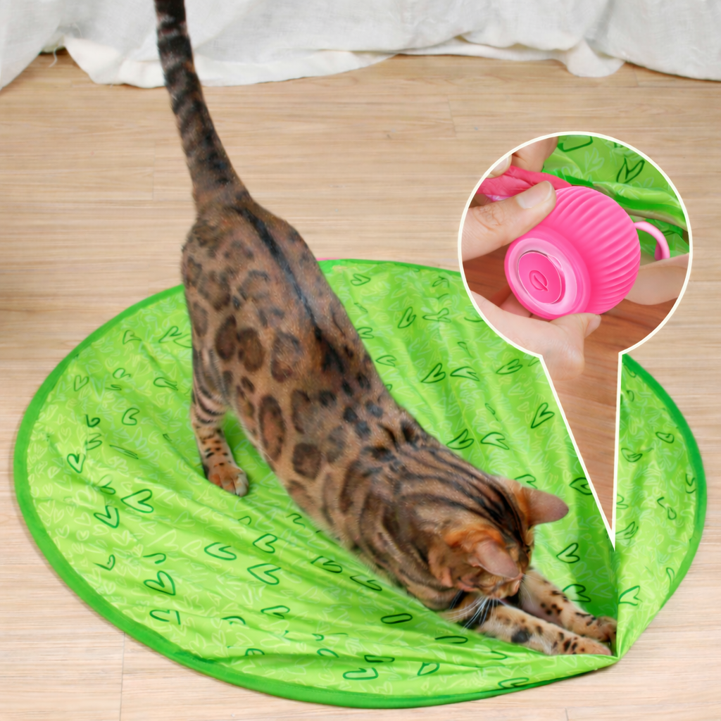 Cat Toy Interactive Rolling Smart Ball Indoor Play