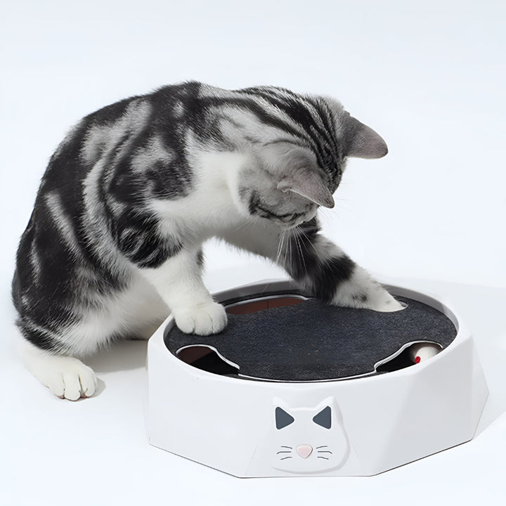 Cat Toy Scratch Pad Interactive Mouse Activity Center