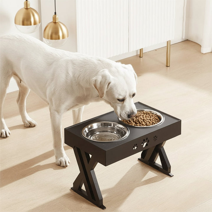 Dog Bowls Elevated Adjustable Pet Feeding Station Stand