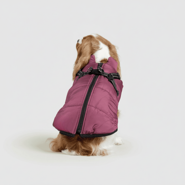 Dog Jacket Winter Outdoor Pet Coat