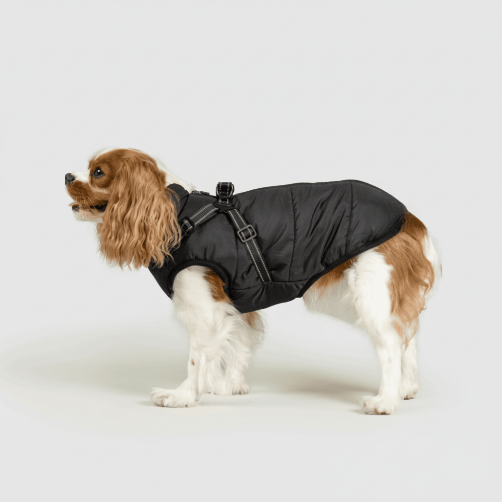 Dog Jacket Winter Outdoor Pet Coat