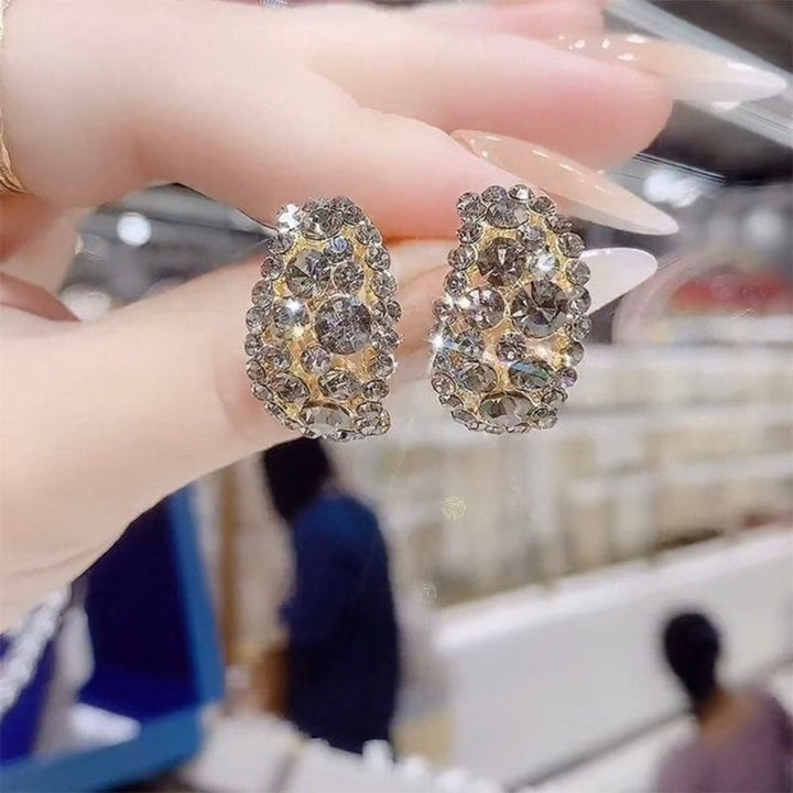 Hoop Earrings Sterling Alloy Diamond Earrings Mothers Day