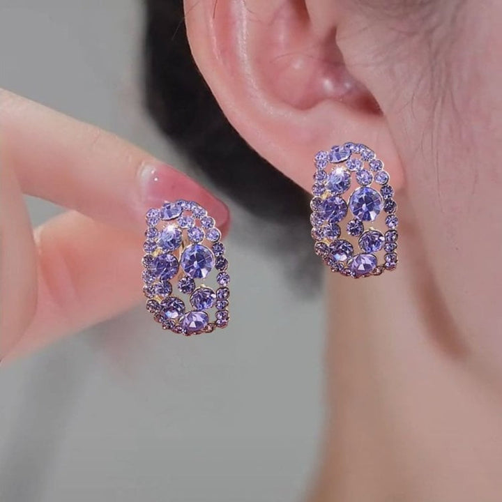 Hoop Earrings Sterling Alloy Diamond Earrings Mothers Day