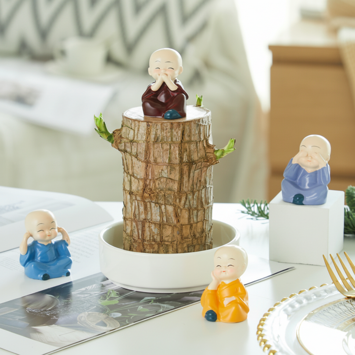 Lucky Bamboo Plant Decorative Pot Air Purification