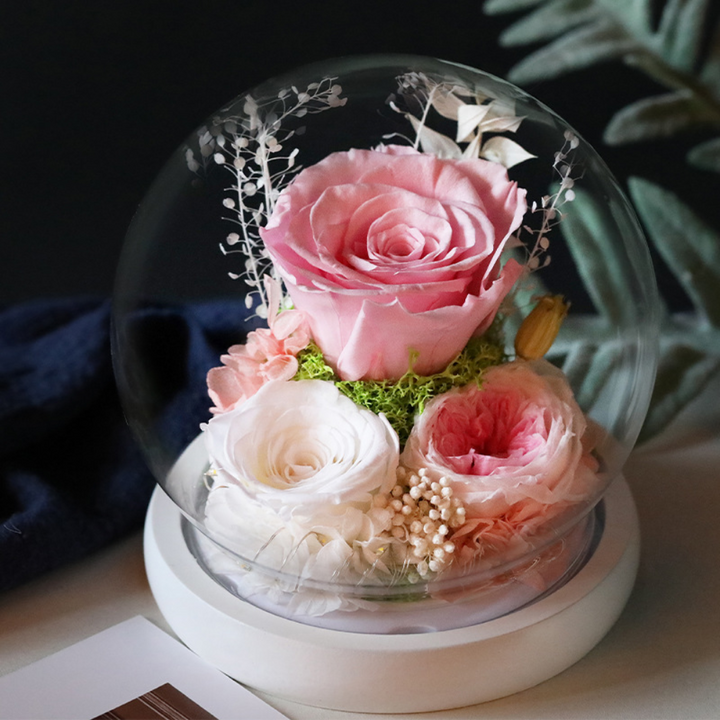 Rose Mothers Day Gift Preserved Flower Dome LED Table Decoration