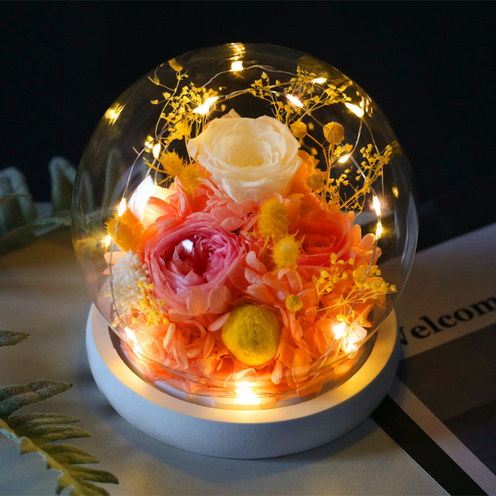Rose Mothers Day Gift Preserved Flower Dome LED Table Decoration