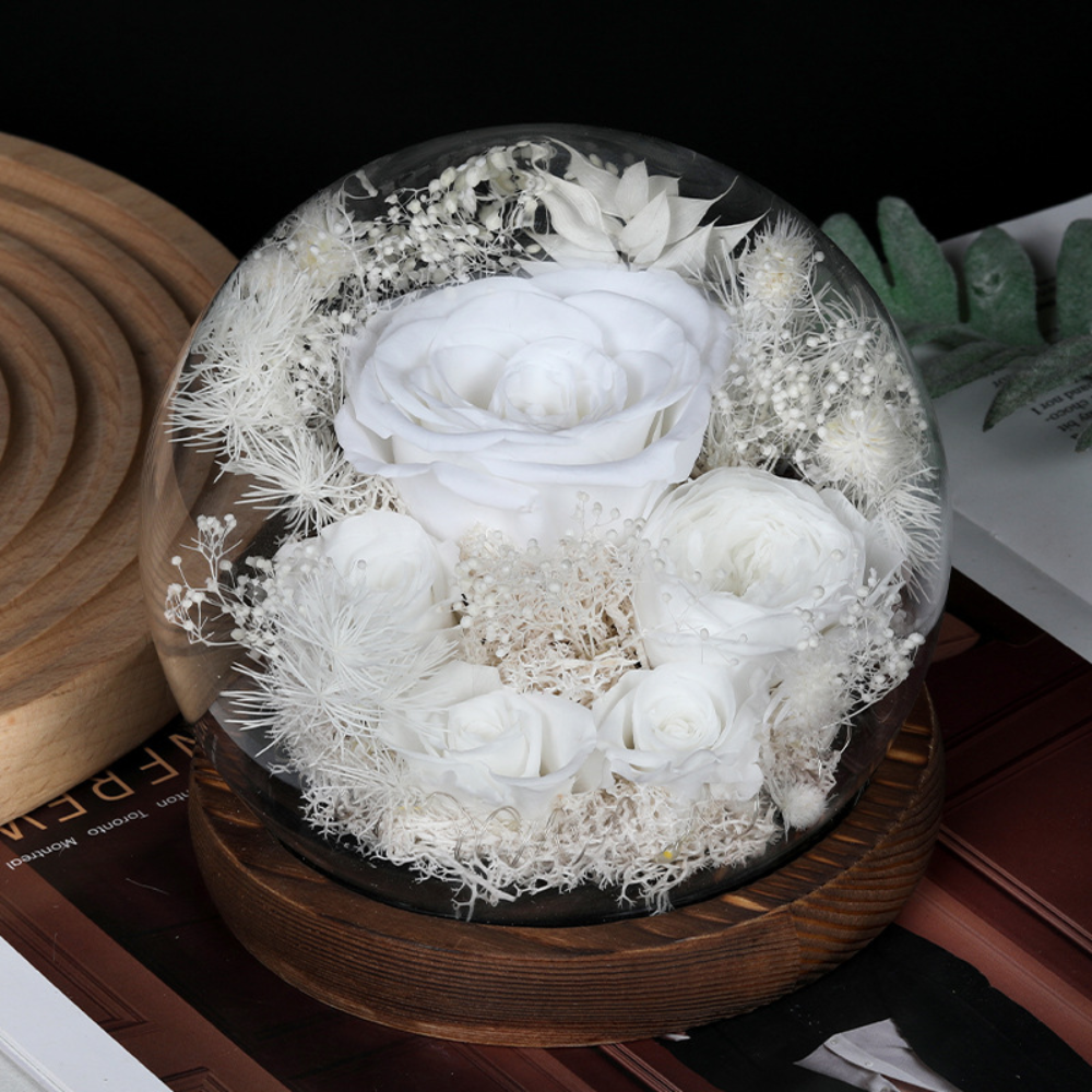Rose Mothers Day Gift Preserved Flower Dome LED Table Decoration