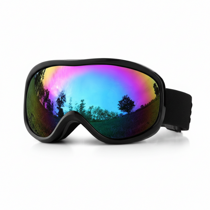 Ski Goggles Snowboard Goggles Anti Fog UV Protection Double Lens