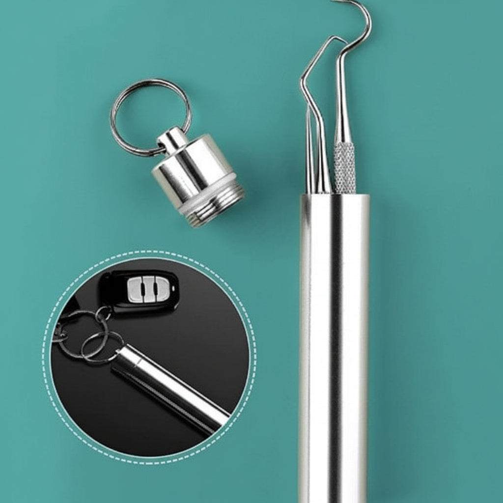 Toothpick Set Reusable Metal Toothpicks Travel Case