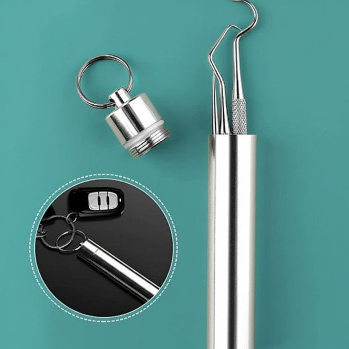 Toothpick Set Reusable Metal Toothpicks Travel Case
