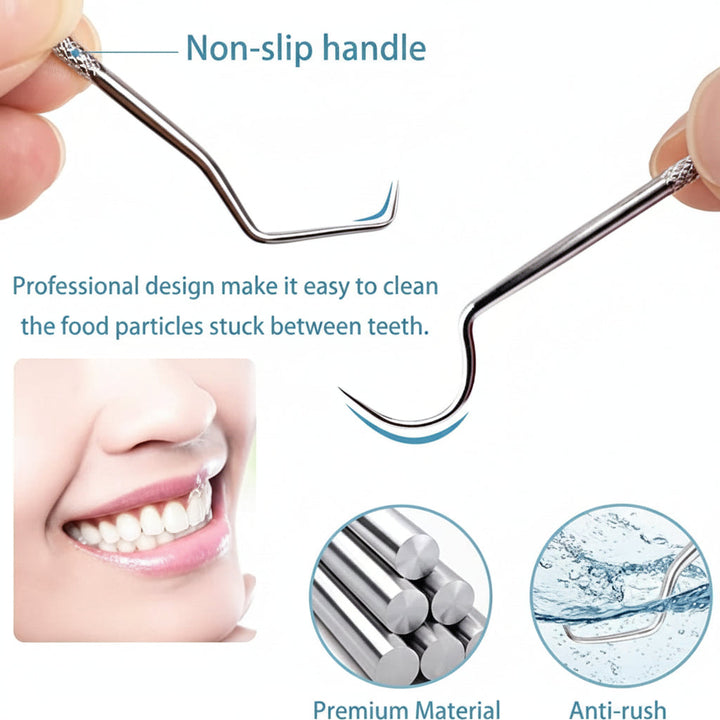 Toothpick Set Reusable Metal Toothpicks Travel Case