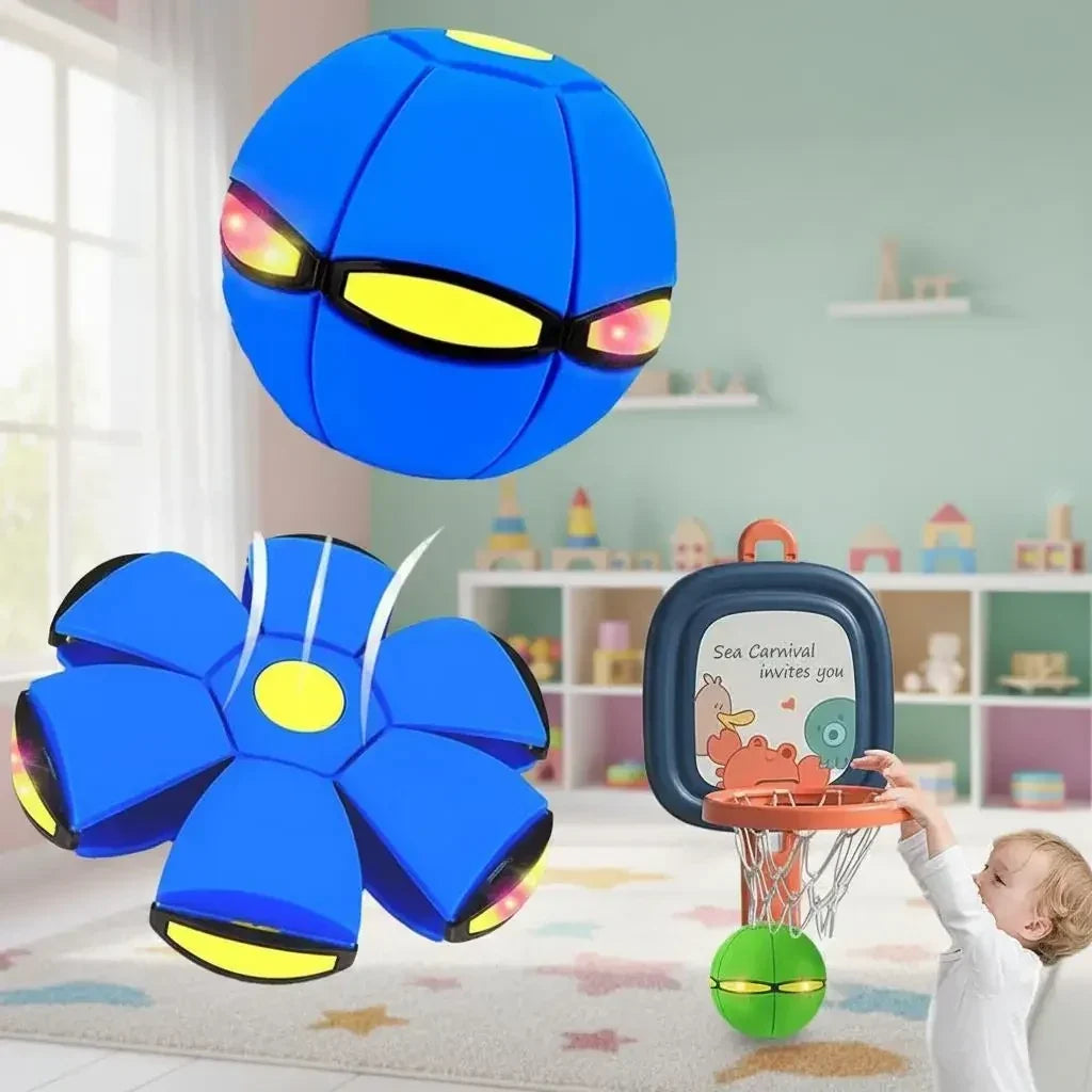 Bouncy Ball Educational Fun Pet Toy Light Ball