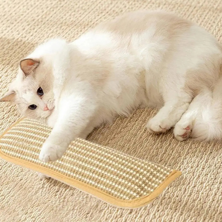 Cat Scratching Pillow Durable Scratching Surface Soft Cat Pillow