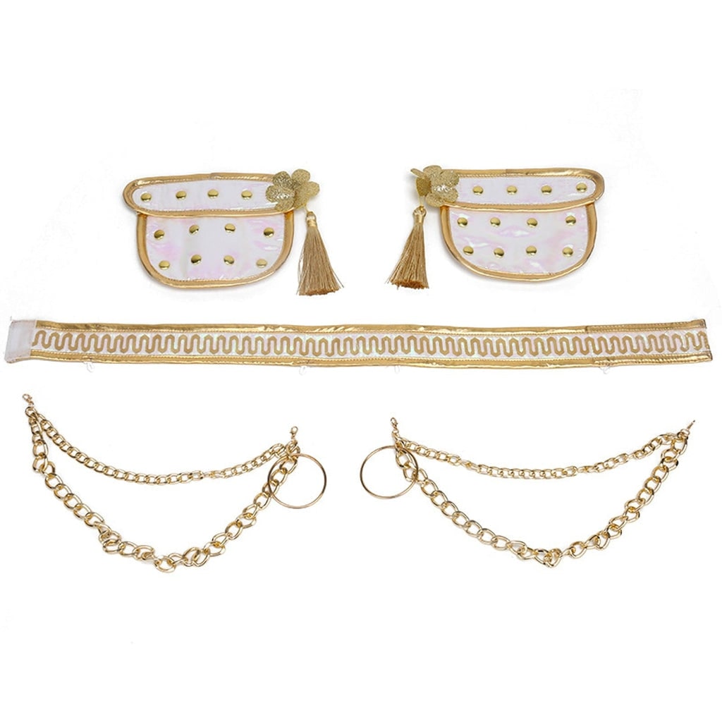Halloween Costumes Girls Gold Dance Costume Set