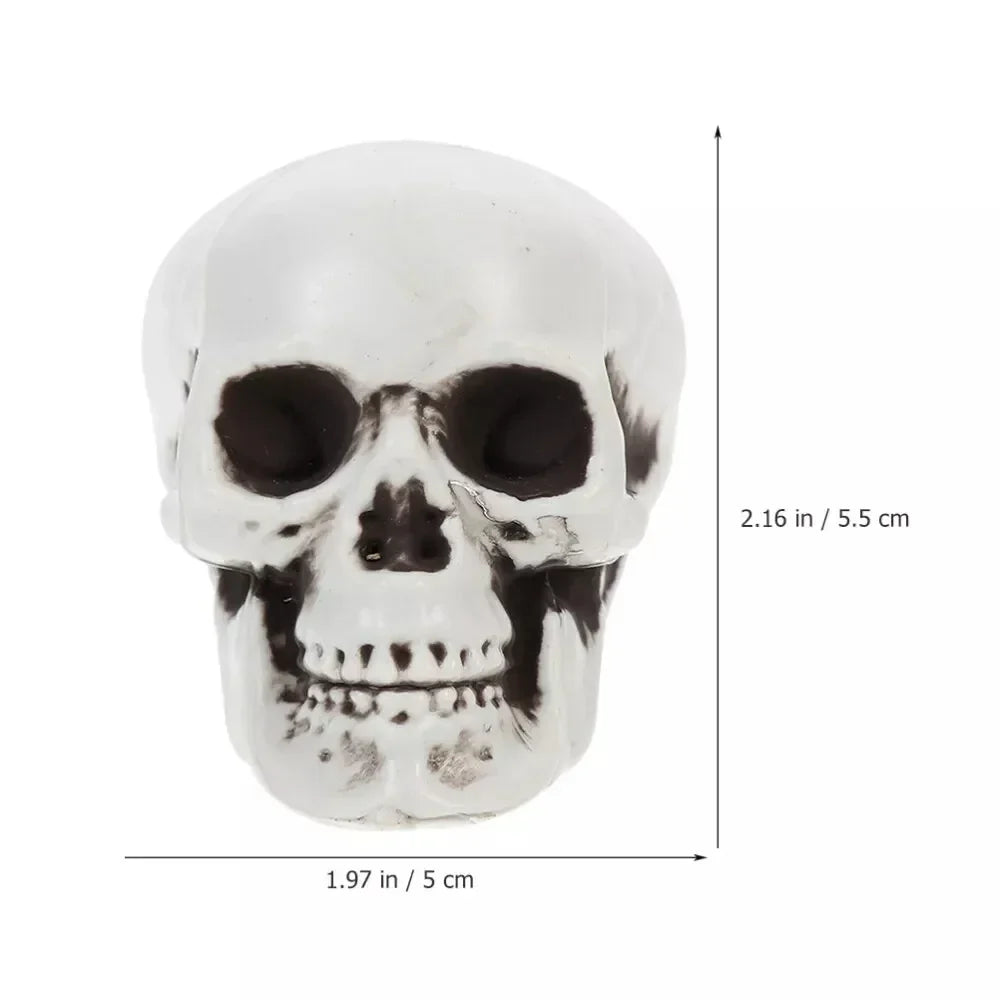 Halloween Decoration Skeleton Skulls Spooky Home Accent