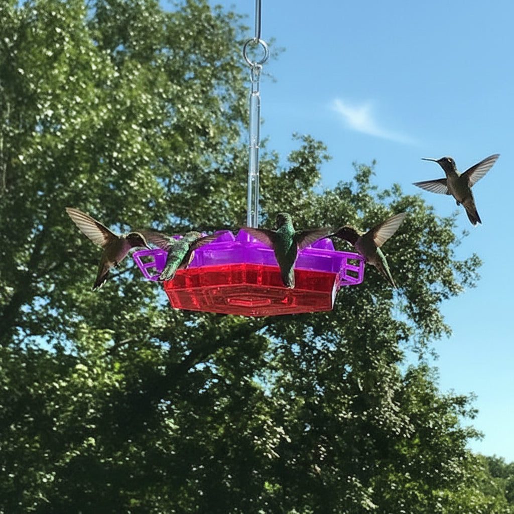 Hummingbird Feeder Hanging Bird Outdoor