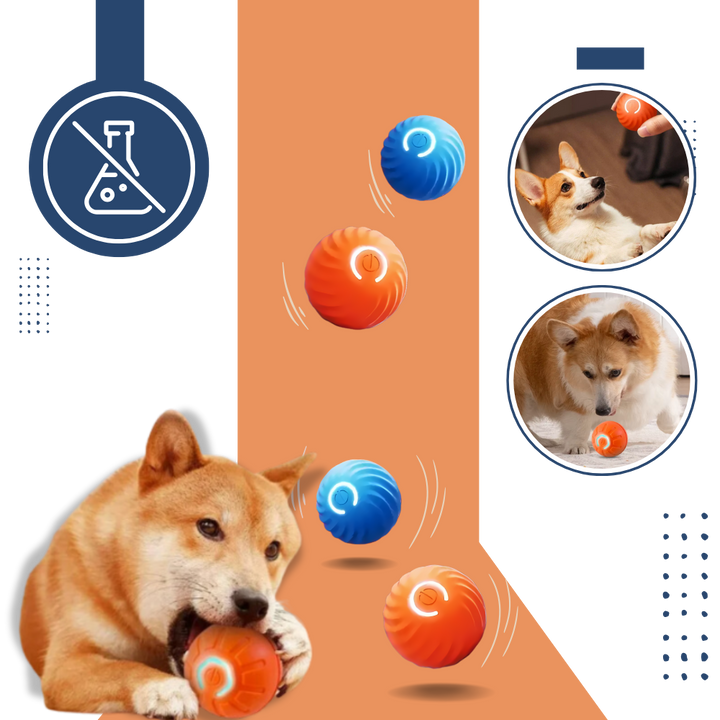 Interactive Dog Toy Durable Ball Engaging Playtime Fun