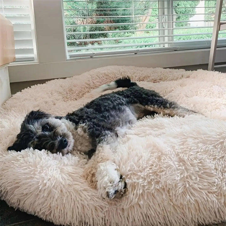 Large Dog Bed Plush Cozy Design Comfortable
