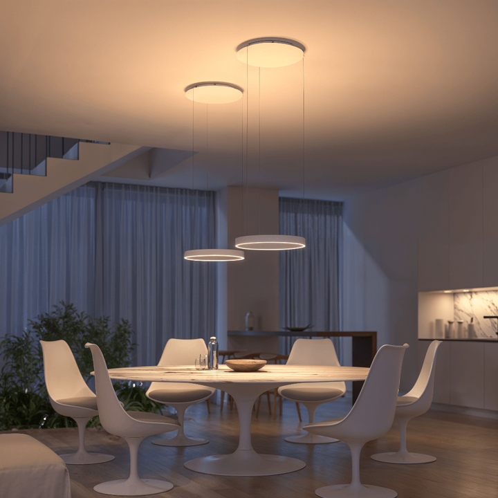 LED Lighting Flush Mount Ceiling Light Pendant