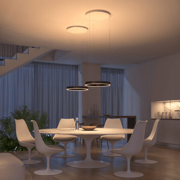 LED Lighting Flush Mount Ceiling Light Pendant