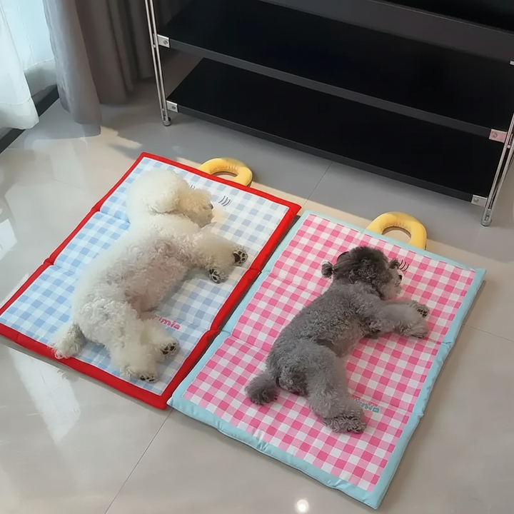 Pet Cooling Mat Dog Cat Breathable Foldable Portable