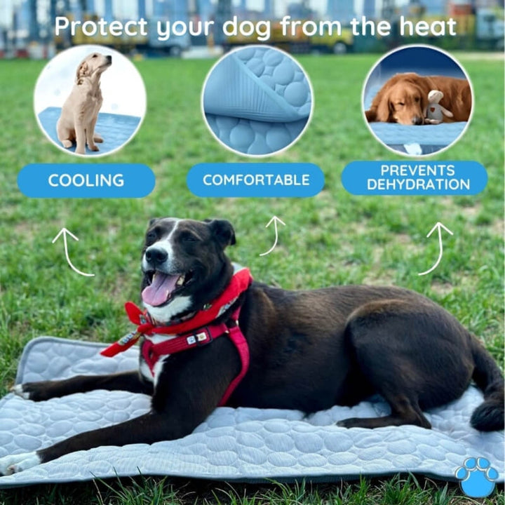 Portable Air Conditioner Cooling Mat Dogs