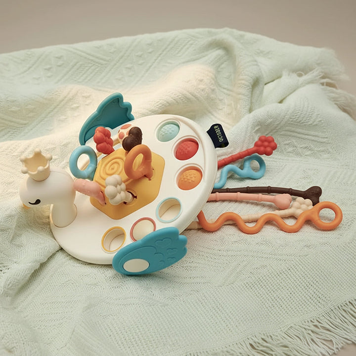 Sensory Toy Infants Teething Fine Motor Skills Activity